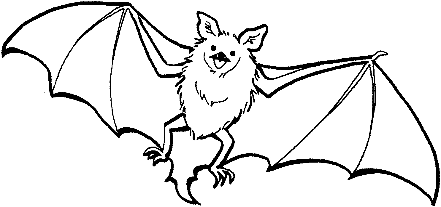 1486x699 Fresh Bat Coloring Page Gallery Printable Coloring Sheet