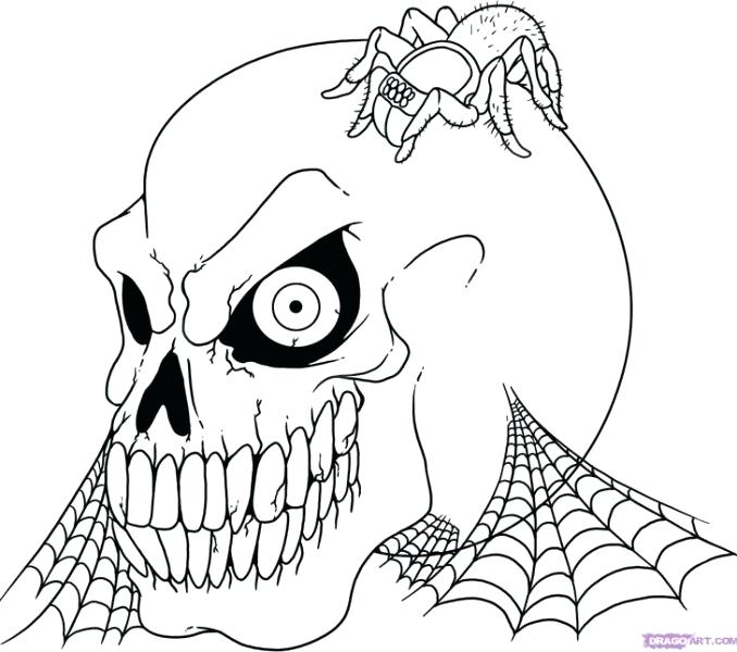 678x600 Vampire Bat Coloring Page Printable Coloring Vampire Colouring