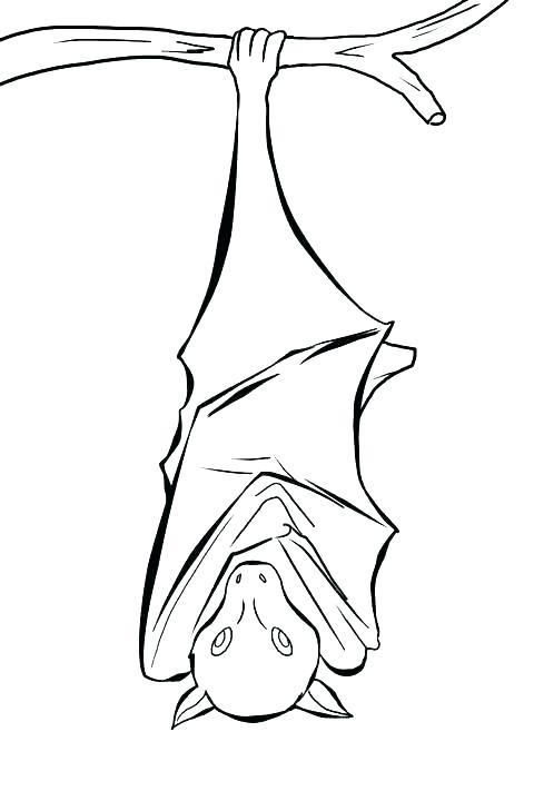 480x720 Bat Coloring Page Vampire Bat Batman Coloring Pages Printable
