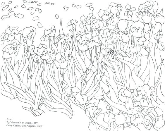 564x448 Vincent Van Gogh Coloring Pages Van Coloring Pages For Adults Free