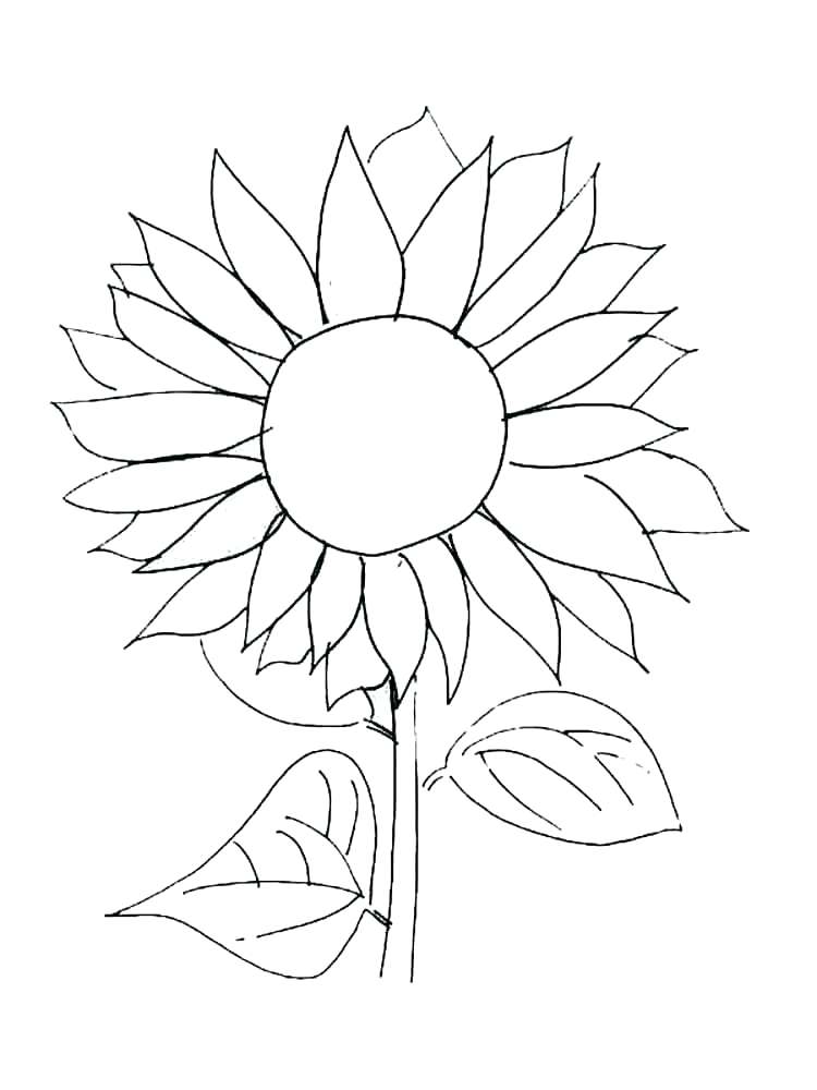 750x1000 Van Gogh Sunflowers Coloring Page Detailed Sunflower Coloring