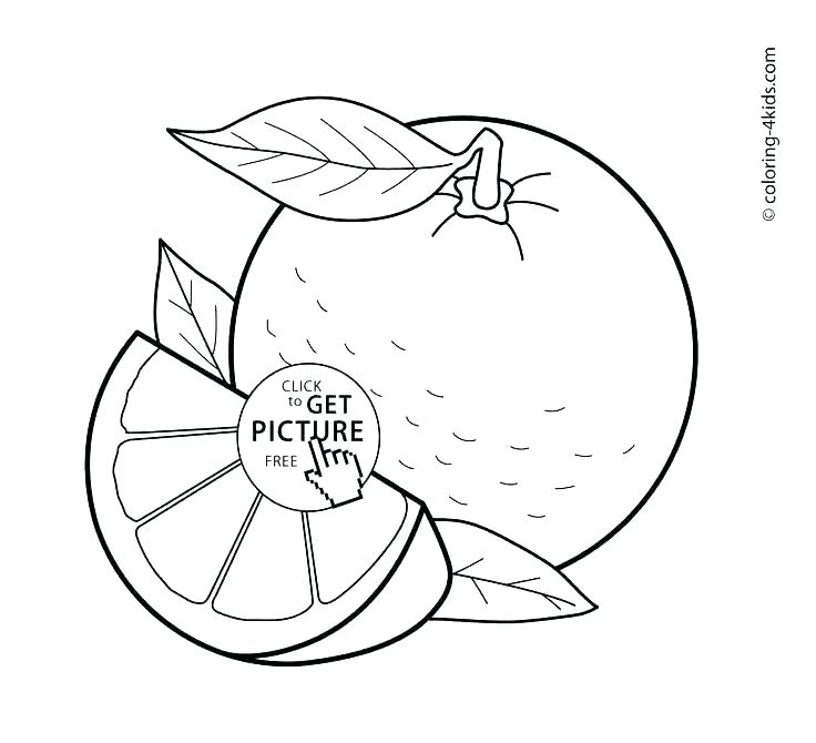736x670 Printable Fruit Coloring Pages Fruit Coloring Page Coloring Pages