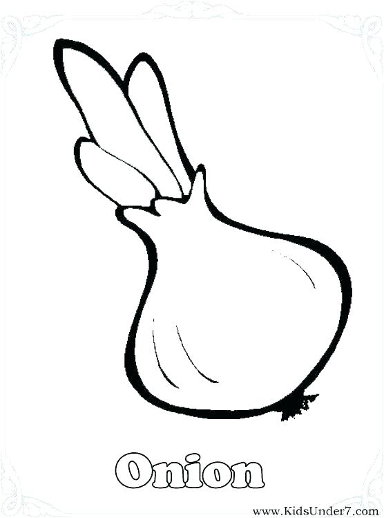 556x749 Vegetable Coloring Page