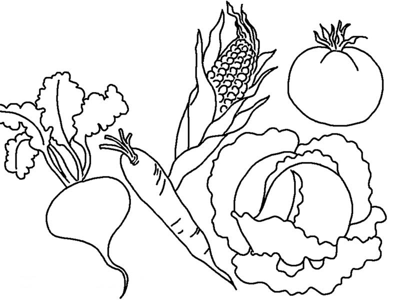 800x600 Vegetables Coloring Pages Amazing Vegetables Coloring Pages Free