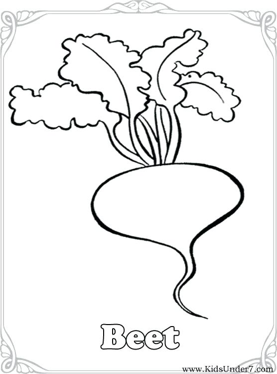 556x749 Vegetable Coloring Page Amazing Vegetable Coloring Sheets