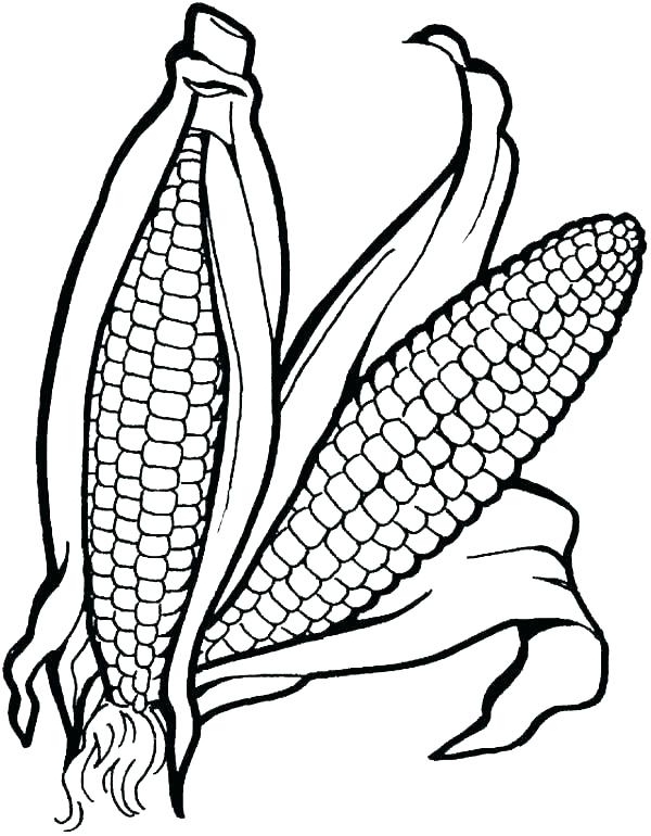 600x770 Vegetable Coloring Pages Cornucopia Fruits And Vegetables Coloring