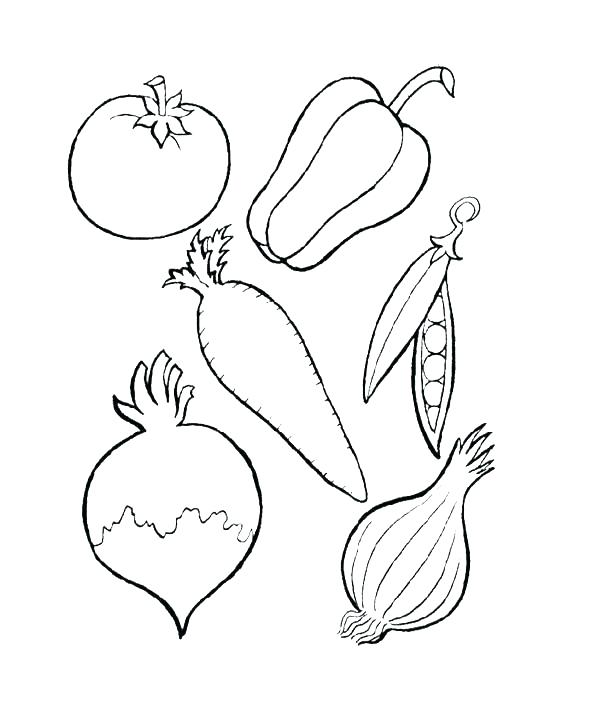 590x711 Printable Vegetable Coloring Pages Vegetable Garden Coloring Pages