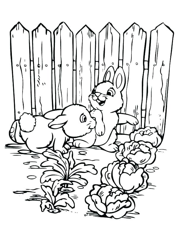 600x776 Vegetable Garden Coloring Pages Garden Coloring Pictures Coloring