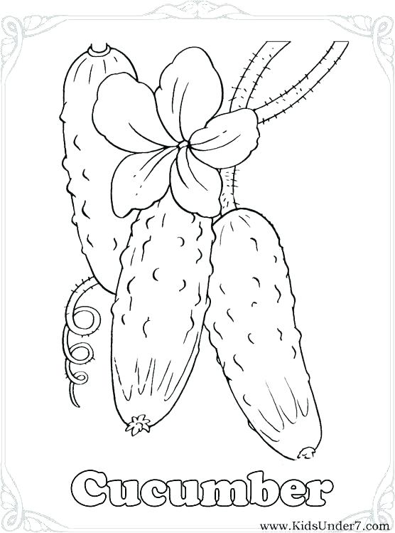 556x749 Vegetables Coloring Pages Free Printable Vegetable Coloring Pages