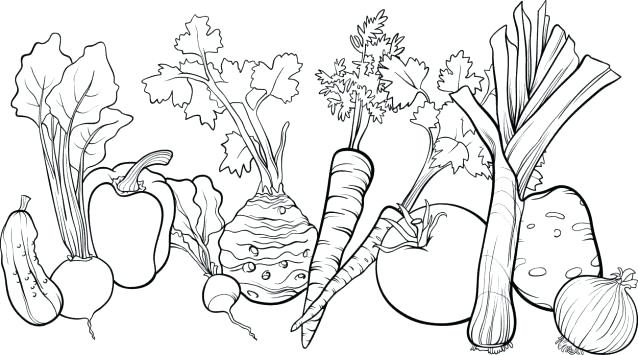 638x355 Vegetables Coloring Pages Vegetable Garden Coloring Pages