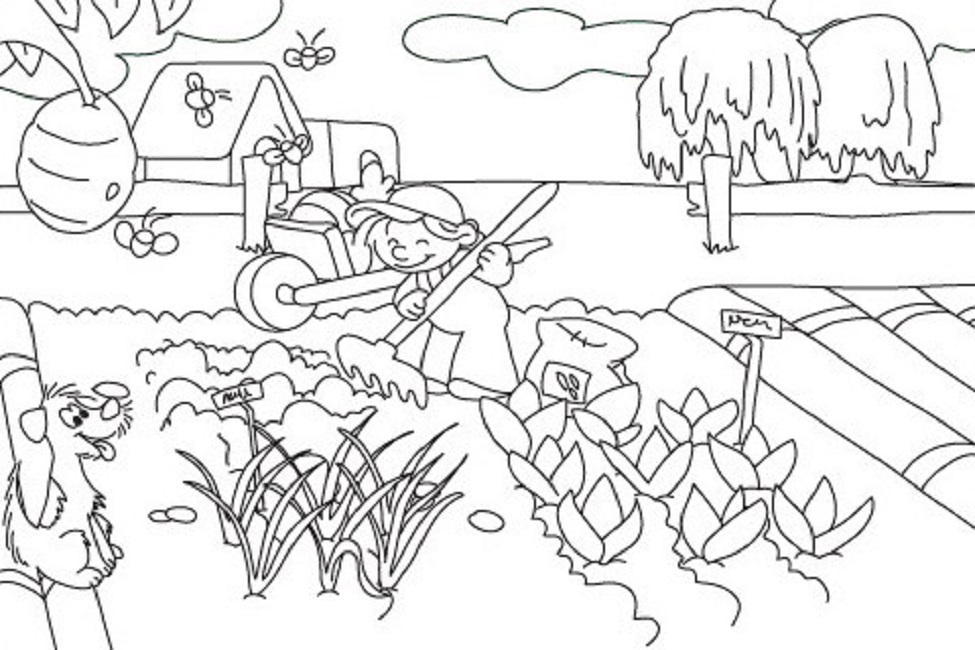 975x650 Vegetable Garden Coloring Pages Printable Food