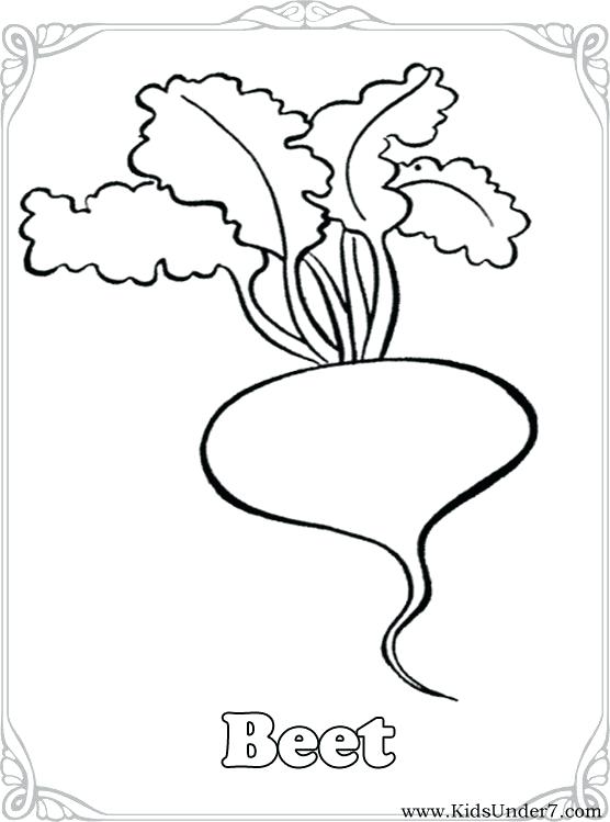 556x749 Vegetable Coloring Pages Kids Under Vegetables Coloring Pages