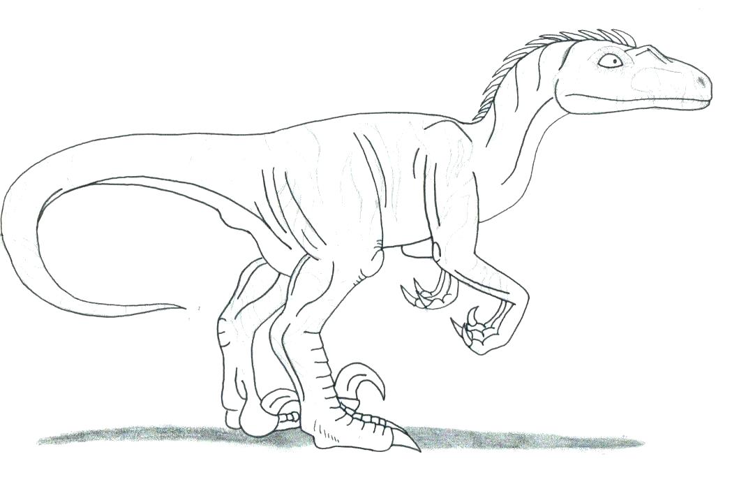 1069x700 Velociraptor Coloring Page
