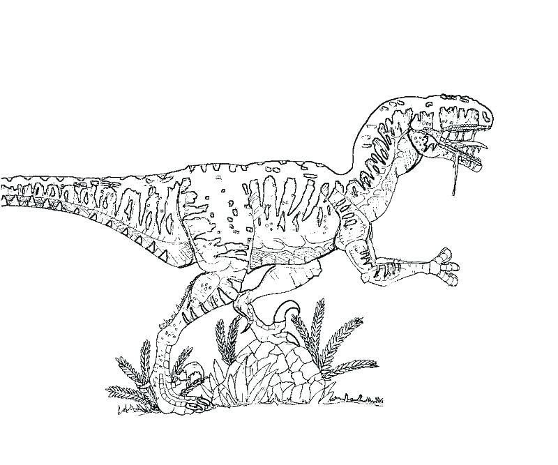 800x667 Jurassic World Raptor Coloring Pages Kids Coloring Coloring Pages