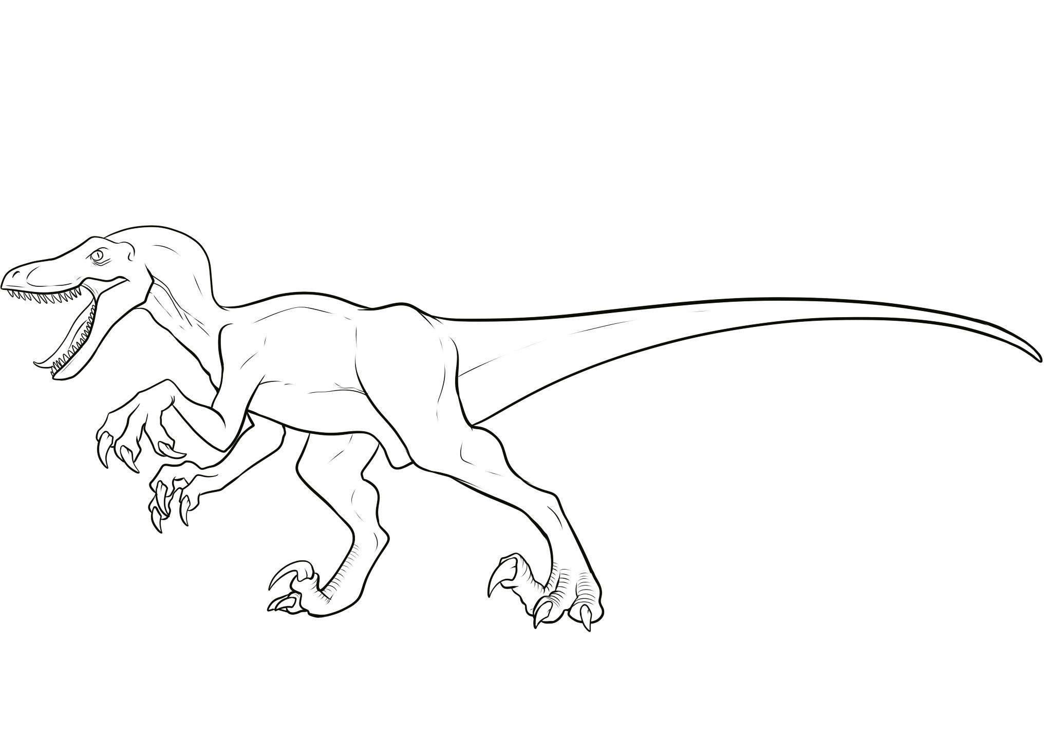 2044x1461 Velociraptor Coloring Pages