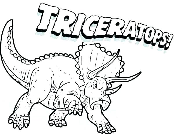 600x477 Velociraptor Coloring Pages Coloring Page Spine Coloring Pages