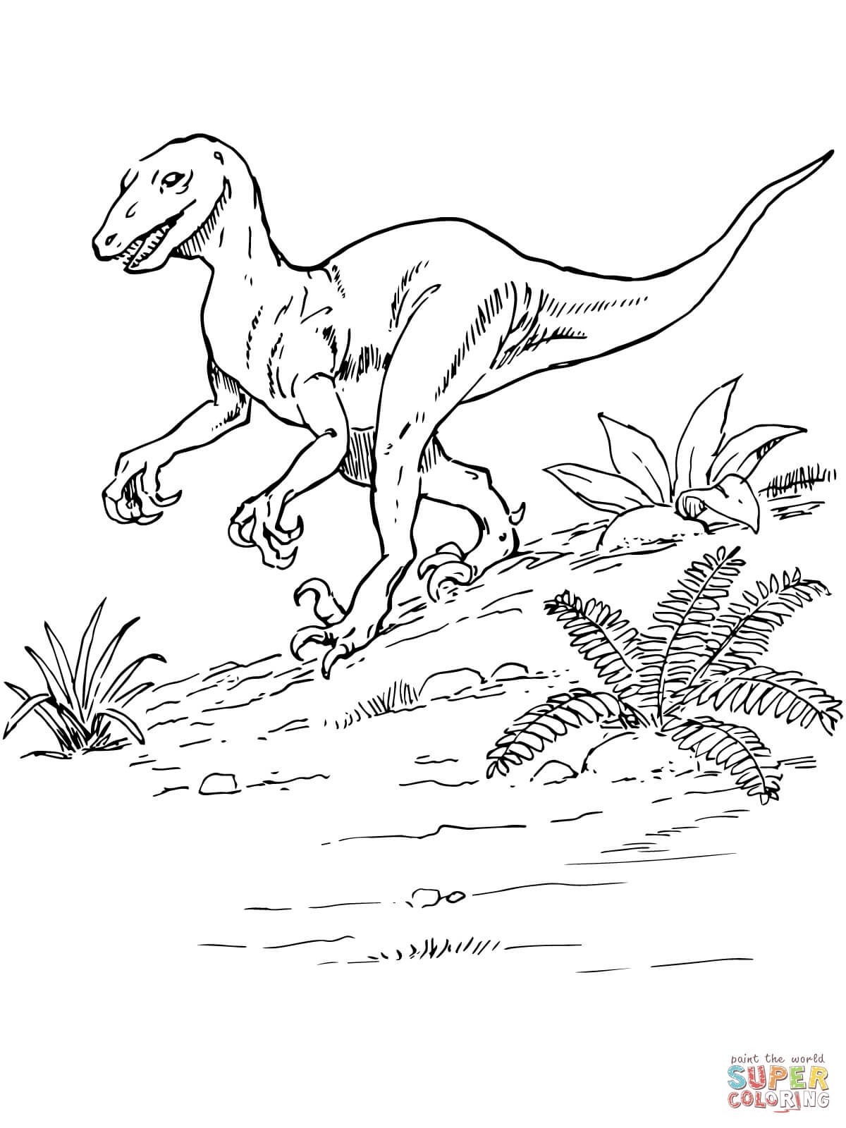1200x1600 Jurassic Park Raptor Coloring Pages Fresh Printable Coloring Pages