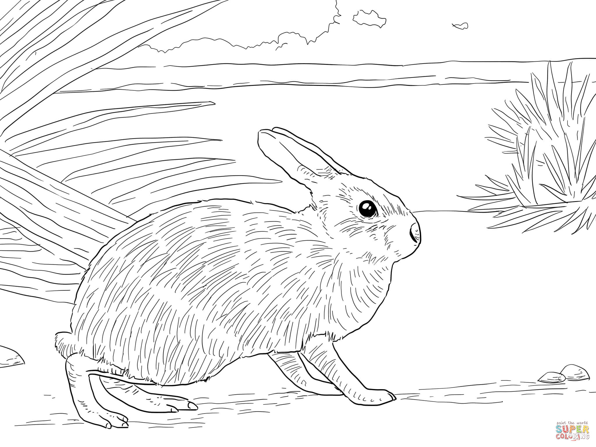 2048x1536 Pretentious Idea Rabbit Coloring Pages Rabbits Free