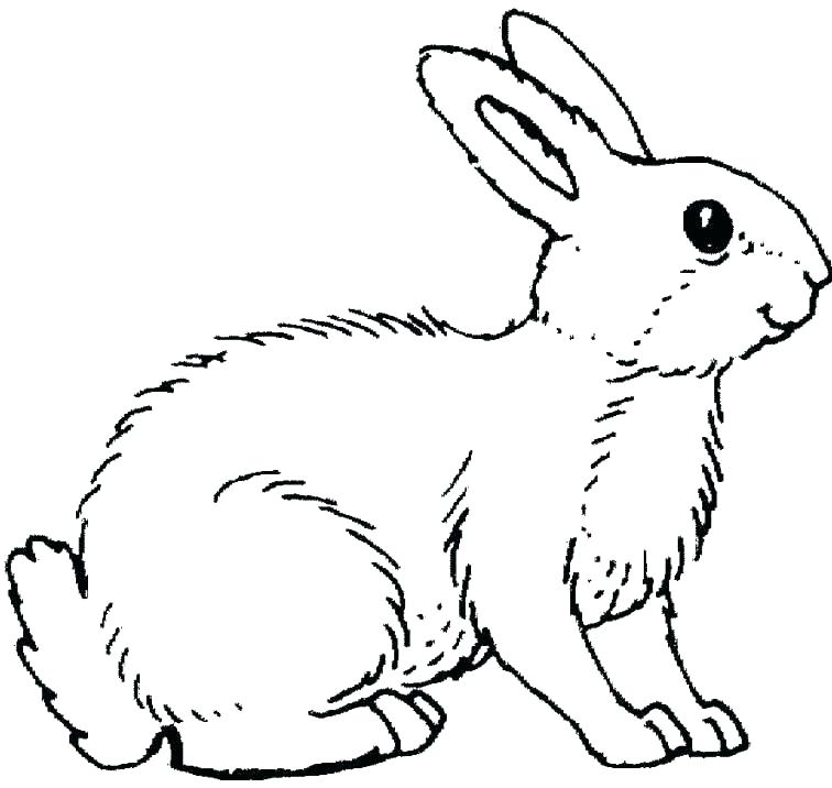 756x716 Roger Rabbit Coloring Pages Velveteen Rabbit Coloring Pages