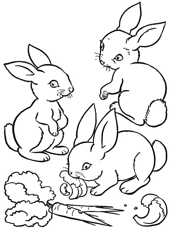 600x800 Velveteen Rabbit Pictures Color Kids Coloring Pictures Of Bunnies