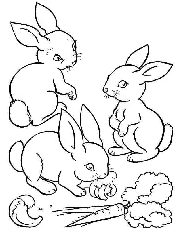 615x820 Velveteen Rabbit Coloring Pages