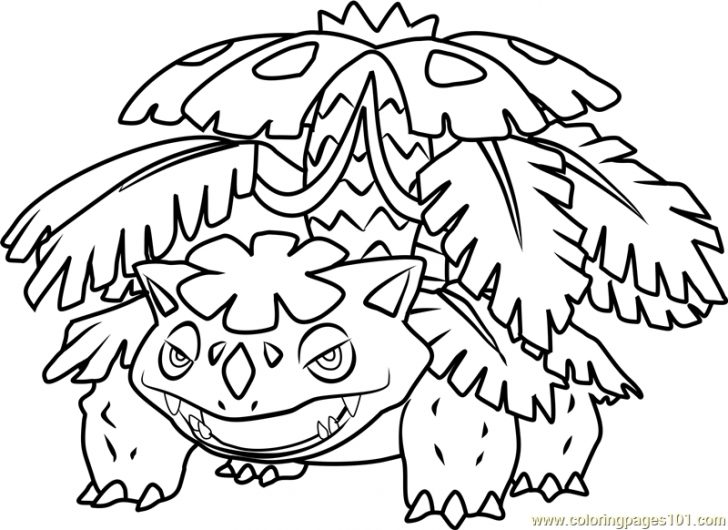 728x530 Mega Venusaur Coloring Pages