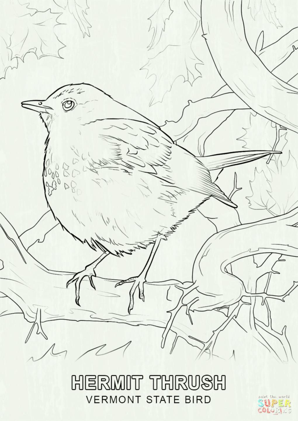 1020x1440 Free Printable Coloring Pages For Adults Advanced Romantic Flower