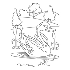 230x230 Top Swan Coloring Pages For Your Little Ones
