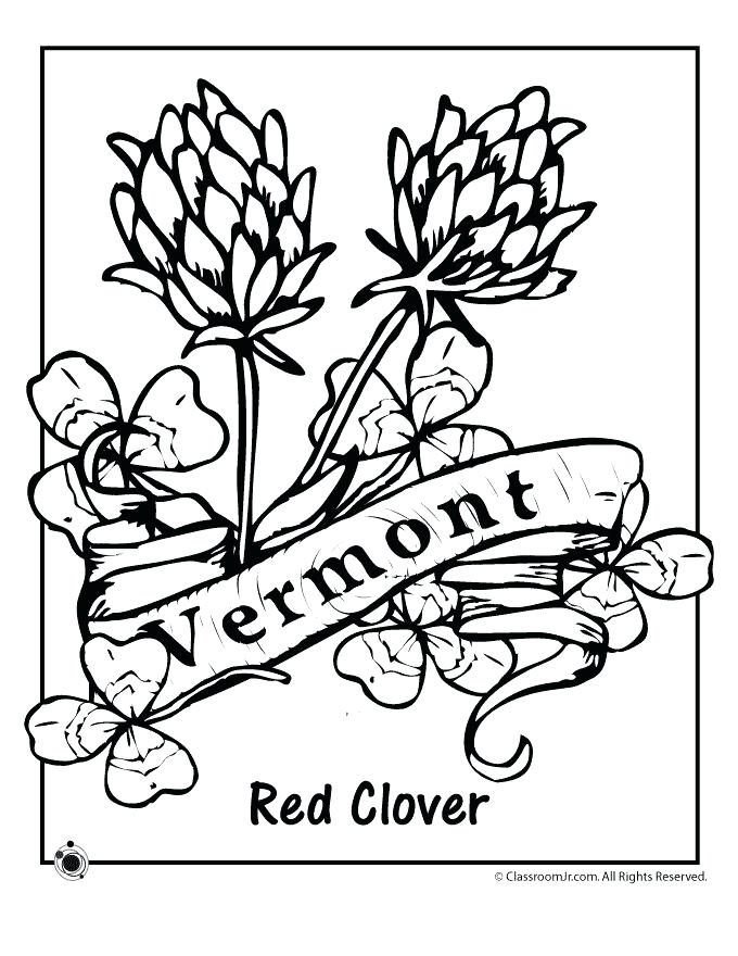 680x880 Vermont State Flag Coloring Page S Home Improvement Reboot