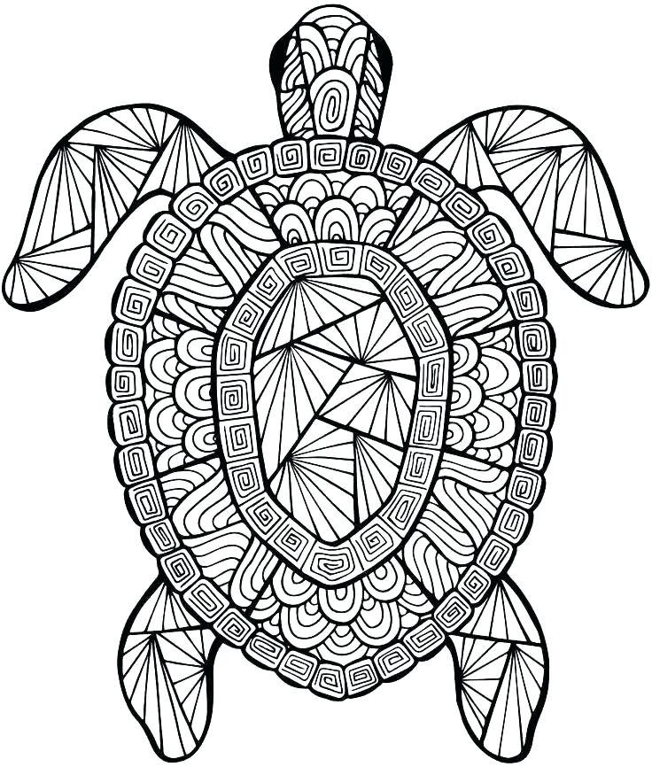 736x866 Really Detailed Coloring Pages Coloring Ideas Pro
