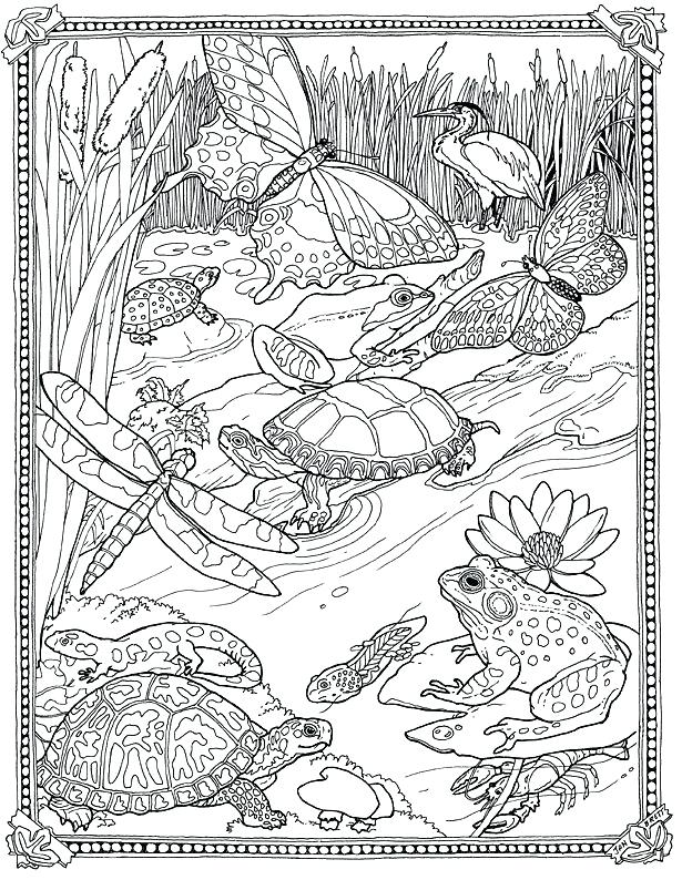 615x794 Superb Terrific Very Detailed Coloring Pages Image Kids Coloring