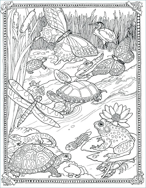 615x794 Detailed Coloring Pages