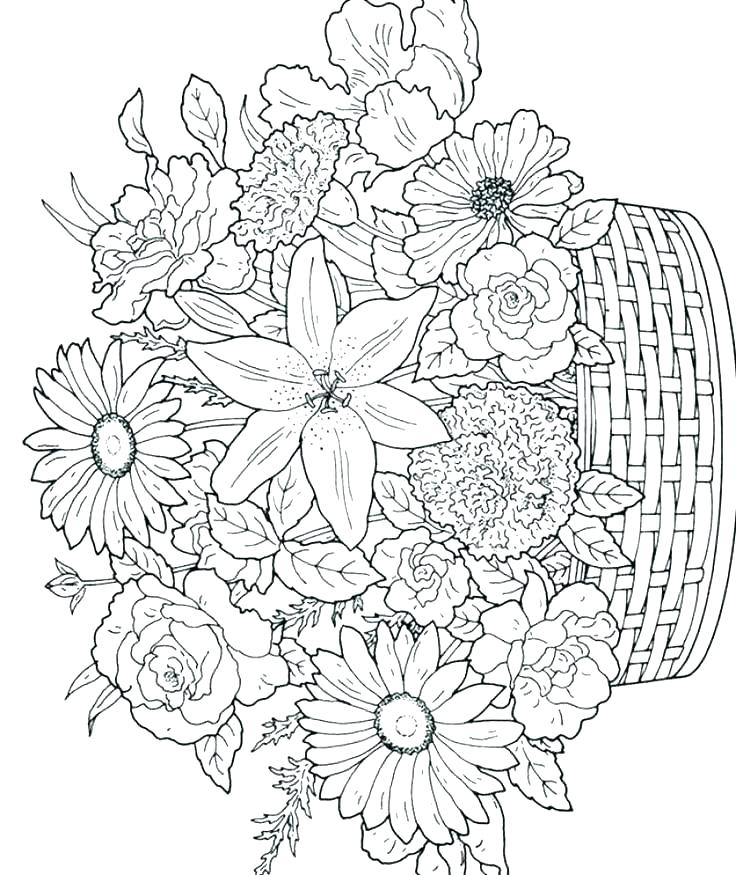 736x875 Fancy Coloring Pages For Professional