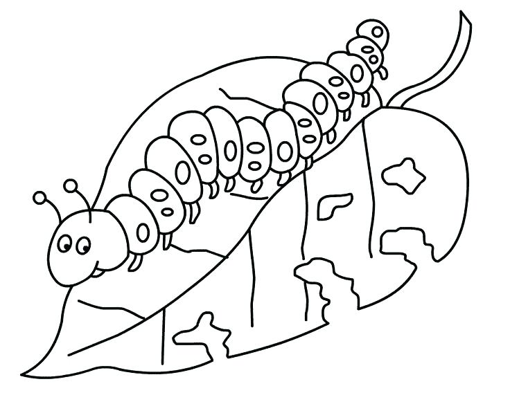 736x597 Eric Carle Coloring Page Coloring Pages In Addition To Very Hungry