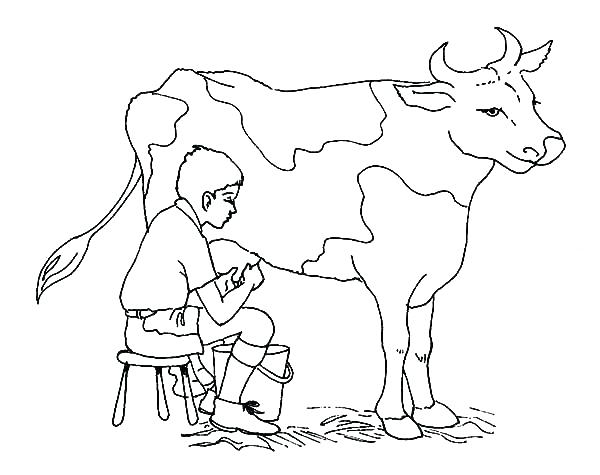 600x475 Veterinarian Coloring Page Veterinarian Coloring Page Coloring