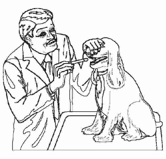 660x630 Veterinarian Coloring Pages Veterinarian Coloring Page