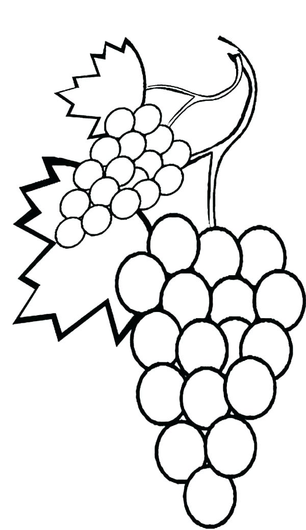 600x1038 Grapes Coloring Pages Grapes Coloring Pages Grapes On Vine