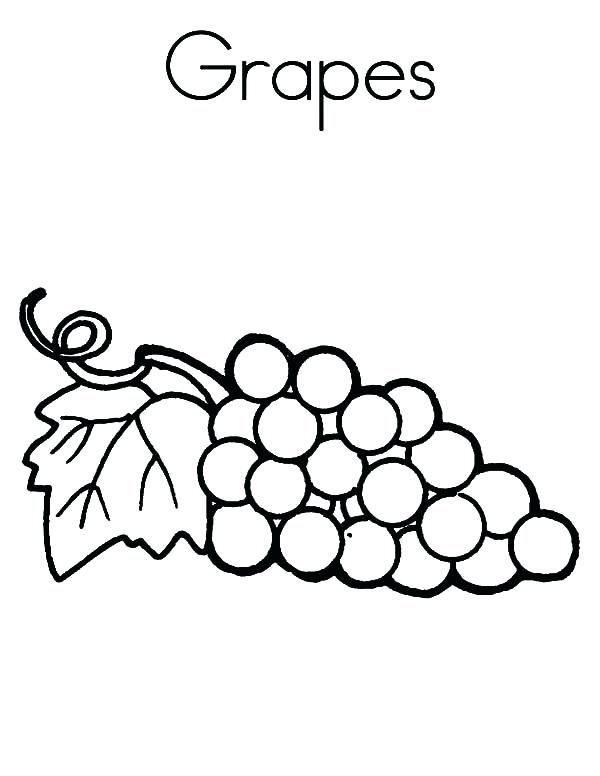 600x776 Grapes Coloring Pages Grapes For Raisins Coloring Pages Grape Vine