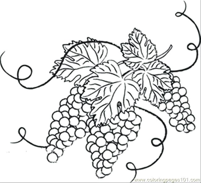 650x591 Grape Coloring Page And White Grapes With Leaves Coloring Page