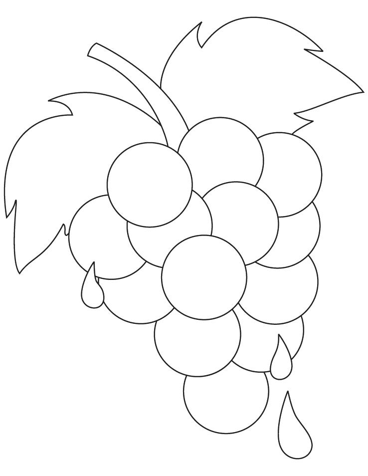 738x954 Grapes Coloring Page Grapes Coloring Page Printable Color
