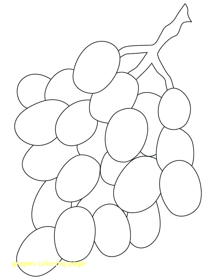738x954 Grapes Coloring Pages Grapes Coloring Pages Grapes Coloring Page
