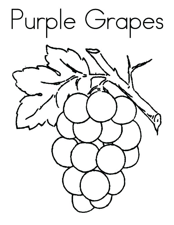 600x776 Grapes Coloring Pages Grapes From Coloring Pages Grape Vineyard