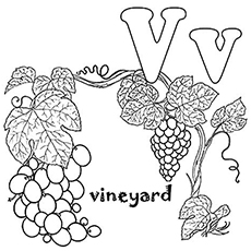 230x230 Top Free Printable Letter V Coloring Pages Online
