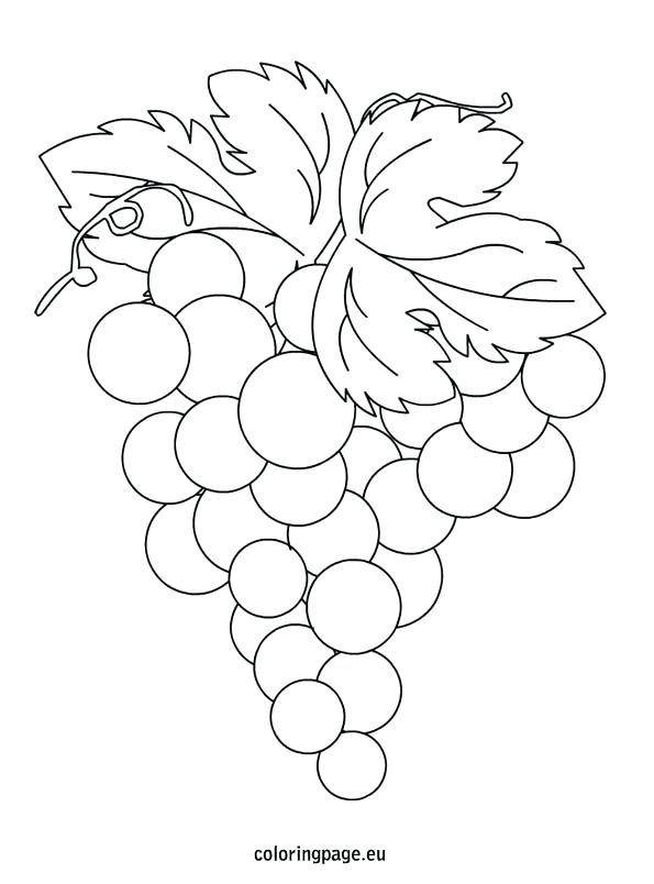 595x804 Coloring Grape Coloring Page Grapes Drawing Pages Vineyard Leaf