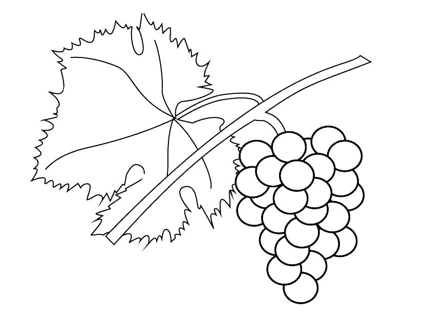 875x620 Grape Coloring Page