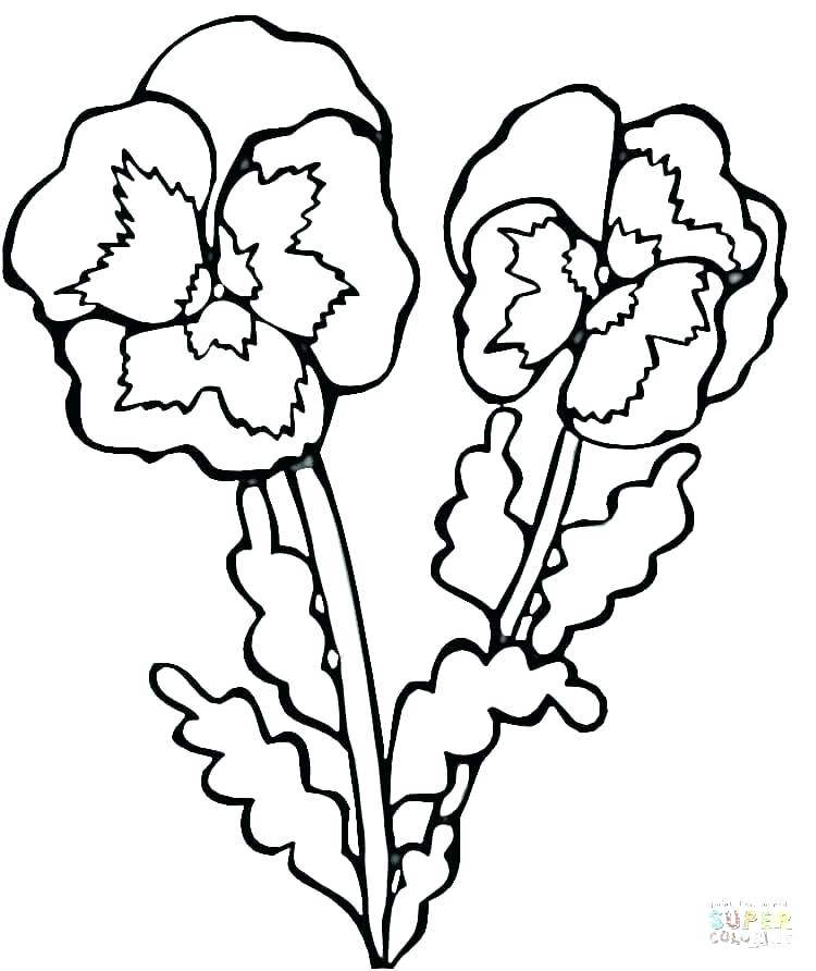 750x892 Scout And Violet Coloring Pages Flower Page Click The Violets