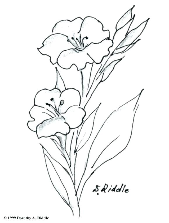 580x766 Violet Flower Coloring Page I Love Flowers Coloring Page Purple