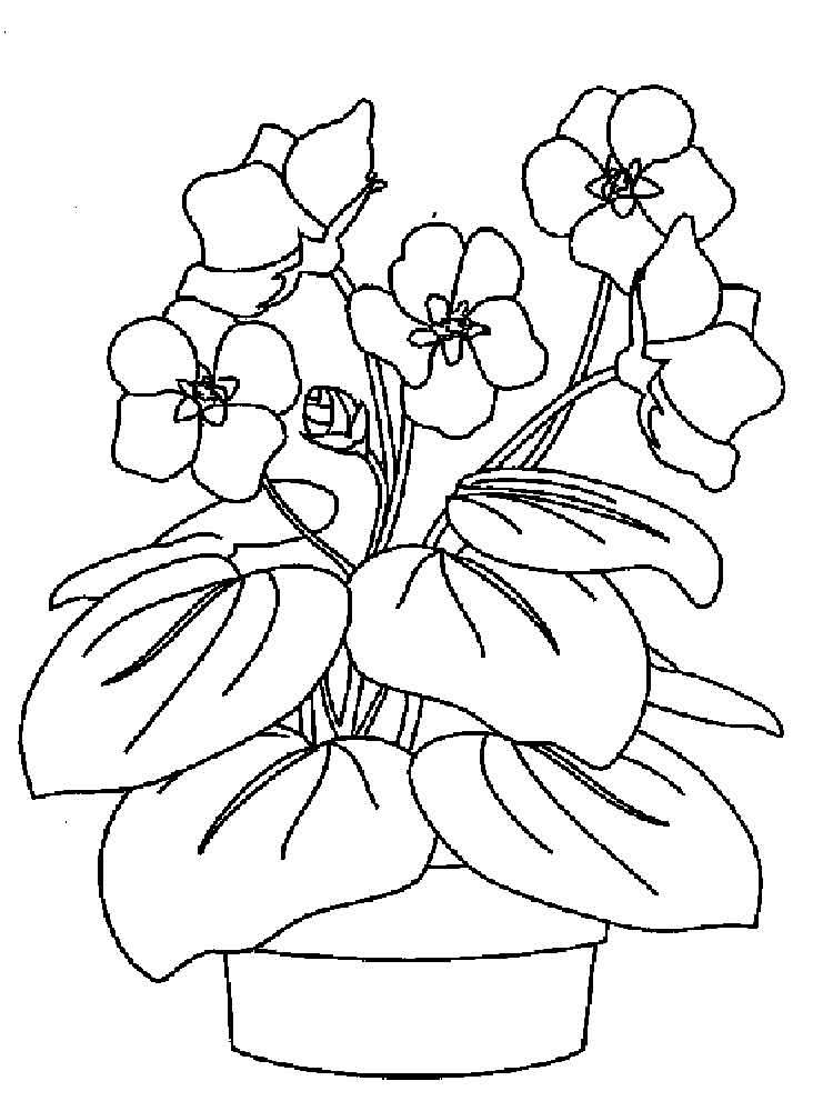 750x1000 Violet Coloring Pages Download And Print Violet Coloring Pages