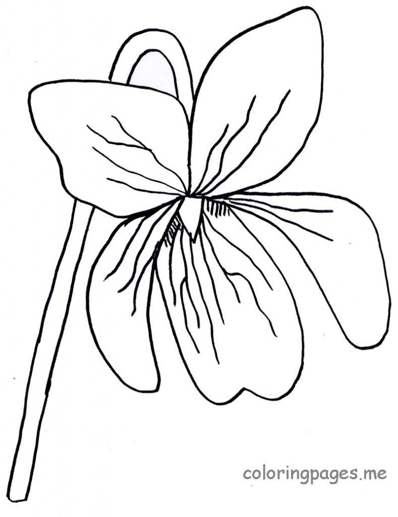 789x1024 Best Coloring Page Violet Flower Fun Pict Of Style And Sheet