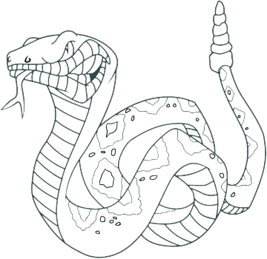 878x853 Snake Color Page Coloring Pages Snakes Snake Coloring Sheets